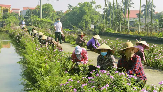 Hướng tới nông thôn văn minh, hiện đại
