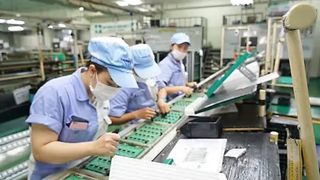 Doanh nghiệp chuyển dịch xuất khẩu để ứng phó thuế đối ứng