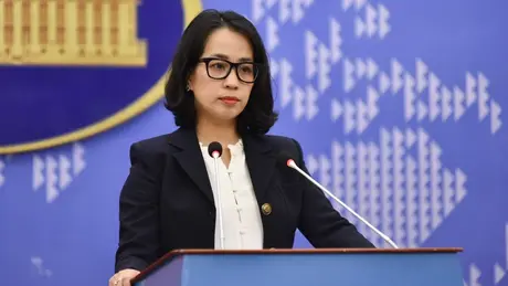 Việt Nam phản đối hoạt động vi phạm chủ quyền ở Trường Sa