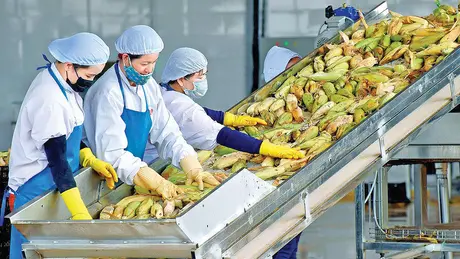 Gỡ rào cản, mở đường cho doanh nghiệp tư nhân phát triển