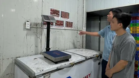Phát hiện nhiều vi phạm ATTP tại Ba Vì và Sơn Tây