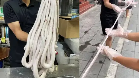TP. HCM đồng loạt kiểm tra nơi bán 'lòng xe điếu'