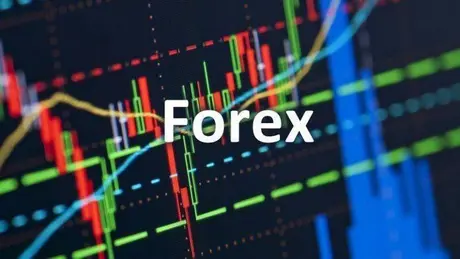 Chưa có sàn Forex nào tại Việt Nam được cấp phép