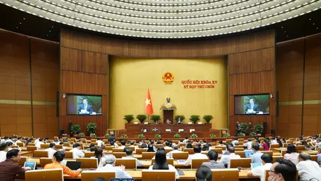 Đề xuất lập Tòa Phá sản và Tòa Sở hữu trí tuệ