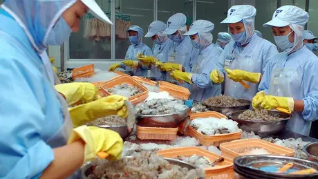 Xuất khẩu nông thủy sản sang Mỹ đối mặt thách thức lớn