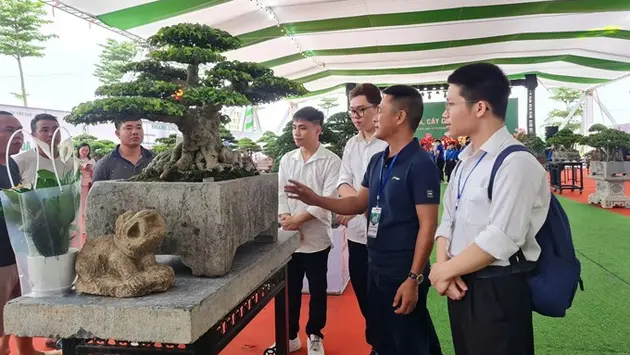 Ngành hoa cây cảnh đạt giá trị trên 45 nghìn tỷ đồng/năm