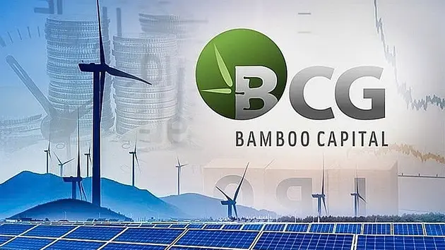 Bamboo Capital: Cổ phiếu bị kiểm soát