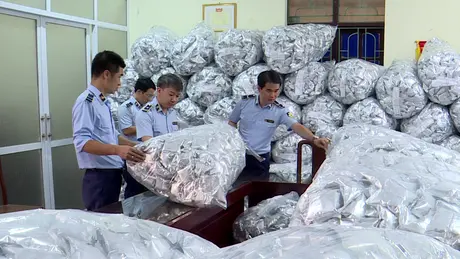 Thu giữ 40.000 gói rong biển không rõ nguồn gốc