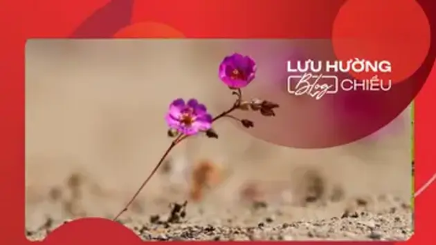 Sa mạc rồi cũng sẽ nở hoa