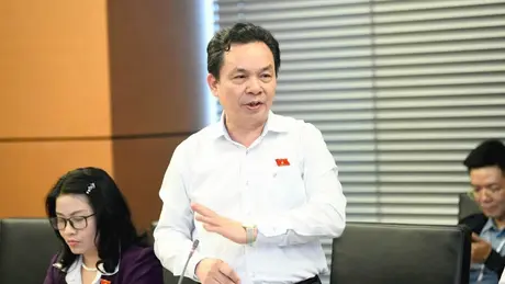 'Nhiều ông xe ôm được thuê để đứng tên chủ doanh nghiệp'