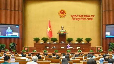 Đề xuất được bán ngay phương tiện vi phạm bị tạm giữ