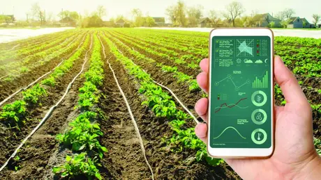 Chuẩn hoá sẩn phẩm nông nghiệp qua ứng dụng số | 13/05/2025 