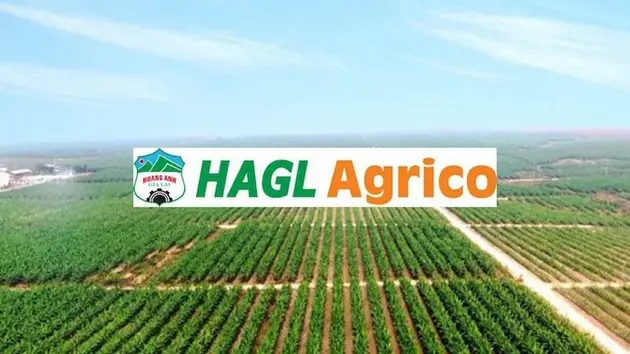 Hoàng Anh Gia Lai lỗ luỹ kế gần 10.000 tỷ đồng