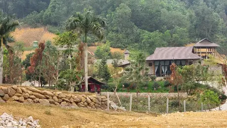 Hà Nội: Khẩn trương xử lý vi phạm lấn chiếm đất rừng