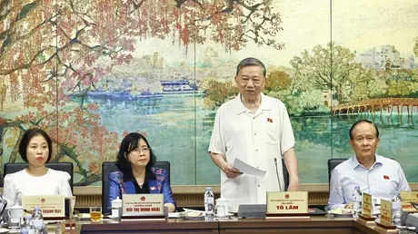 Sửa Luật Quốc tịch để lan tỏa sự tự hào Việt Nam