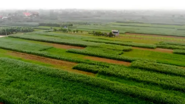 Đài Hà Nội