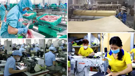 Kinh tế tư nhân được hưởng nhiều cơ chế đặc biệt