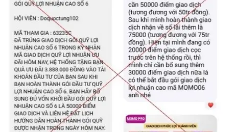 Cảnh báo lừa đảo khi đầu tư qua MoMo Pro giả mạo