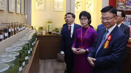 Giá trị y học cổ truyền Việt Nam cần được bảo tồn