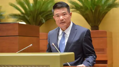 Giao tòa khu vực xử sơ thẩm hầu hết án hình sự