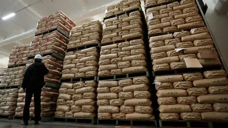 Giá gạo tại Nhật Bản tăng gấp đôi sau hơn 10 tuần