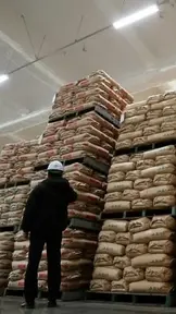 Giá gạo tại Nhật Bản tăng gấp đôi sau hơn 10 tuần