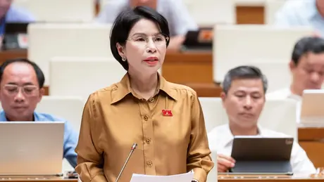Thanh tra đi đến đâu, hàng giả biến mất đến đó
