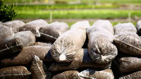 EU tăng thuế phân bón và nông sản từ Nga và Belearus