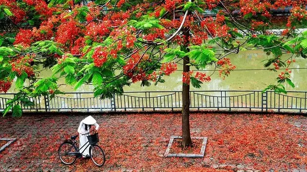 Đài Hà Nội