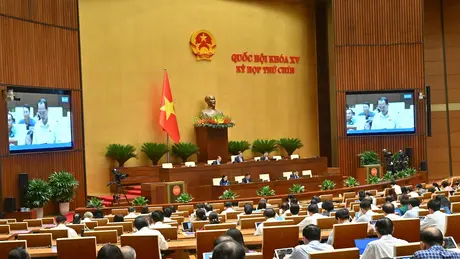 Nên chỉ định thầu với một số dự án đặc thù