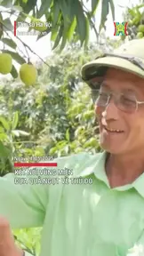 Kết nối vùng miền, đưa quả ngọt về Thủ đô