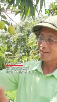 Kết nối vùng miền, đưa quả ngọt về Thủ đô