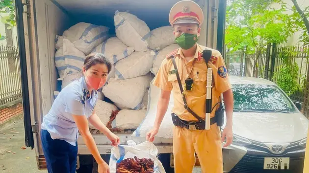 CSGT Hà Nội phát hiện 1,4 tấn chân gà nhập lậu