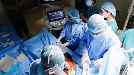 Y học bào thai: Cuộc cách mạng trong kỷ nguyên mới
