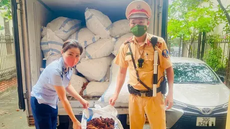 CSGT Hà Nội phát hiện 1,4 tấn chân gà nhập lậu