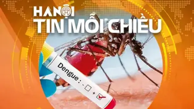 Hà Nội lên kịch bản chống dịch sốt xuất huyết | Hà Nội tin mỗi chiều