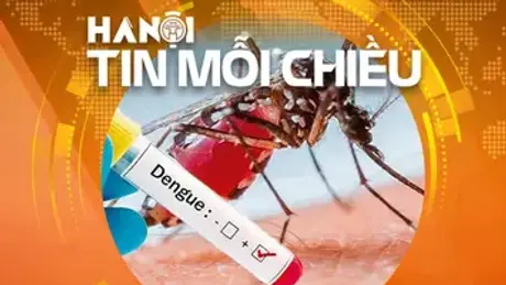 Hà Nội lên kịch bản chống dịch sốt xuất huyết | Hà Nội tin mỗi chiều