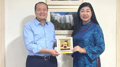Hà Nội-Ai Cập thúc đẩy hợp tác 