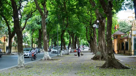 Thời tiết 26/5: Hà Nội dịu mát ngày đầu tuần
