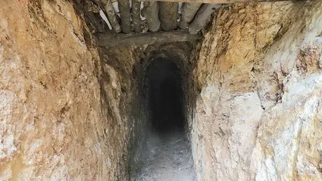 Khai thác vàng trái phép giữa rừng phòng hộ ở Gia Lai