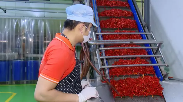 Hoài Đức phát triển 'làng nghề xanh' | Chuyển đổi xanh | 24/05/2025