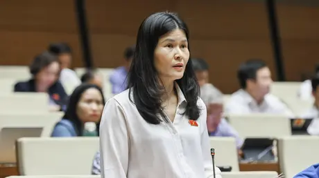 Trường tiểu học, trung học tổ chức theo quy trình ngân sách nào?