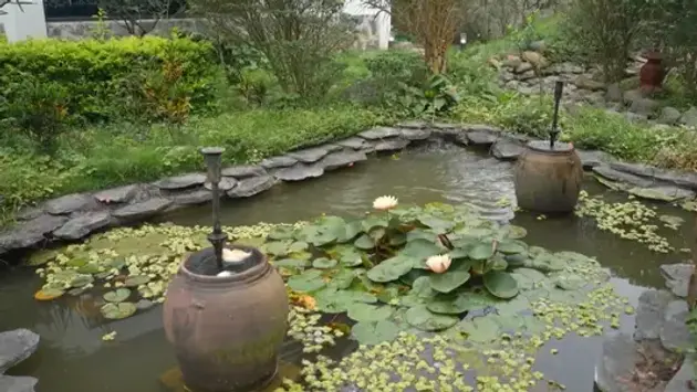Đắp đất, làm đồi cho vườn để 'được sống theo sở thích' | Vườn đô thị | 25/05/2025