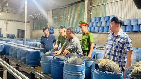 Triệt phá hai cơ sở dùng hóa chất độc hại làm giá
