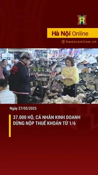 37.000 hộ, cá nhân kinh doanh dừng nộp thuế khoán từ 1/6