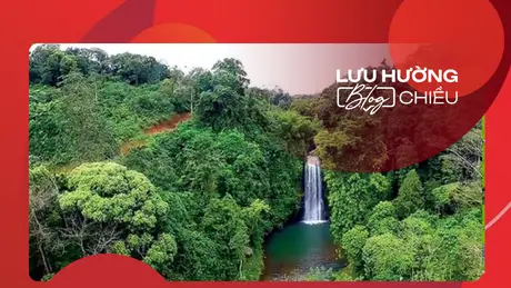Lưng chừng nỗi nhớ rừng xưa
