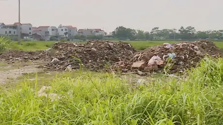 Đất đấu giá bỏ hoang do đầu cơ, gây lãng phí