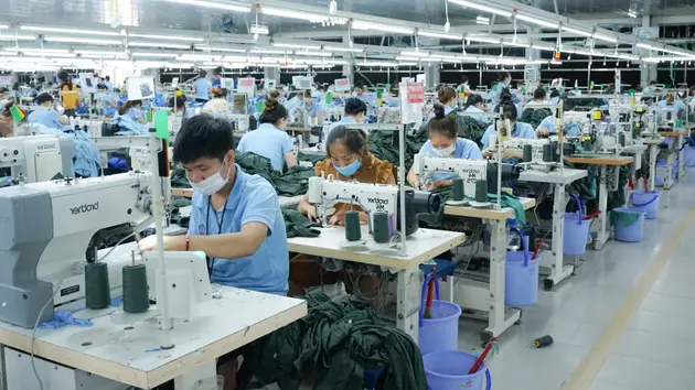 Vinatex không chia cổ tức năm 2024