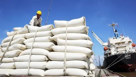 VCCI đề nghị bỏ quy định gây khó DN xuất khẩu gạo
