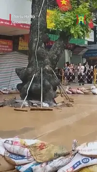 Hiện tượng trào bùn trên phố Cát Linh đã được kiểm soát